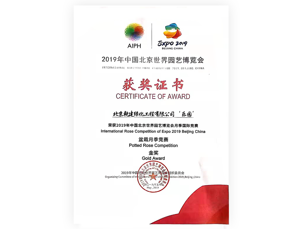 20210820092725_19845 2019-月季“乐园“-金奖